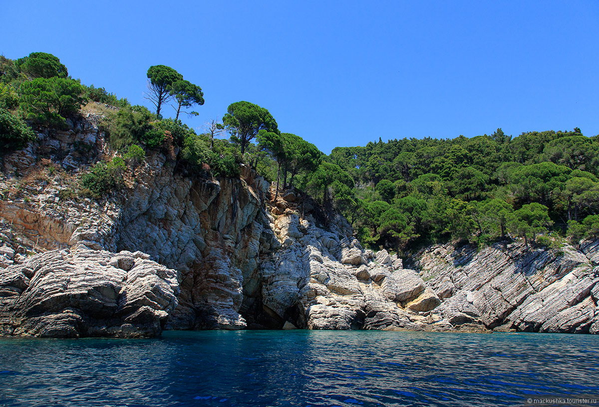 Petrovac